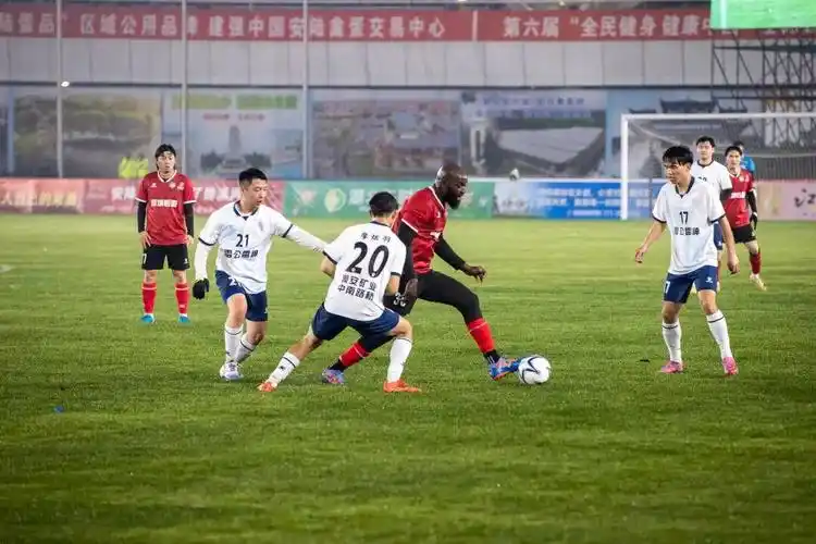 雨燕直播体育免费直播